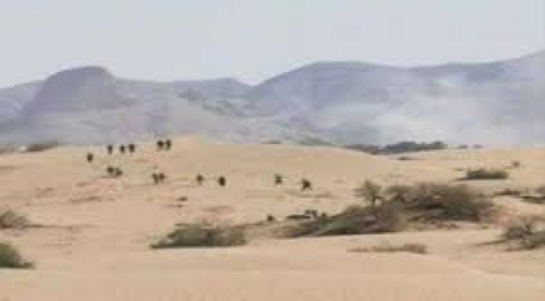 قوات العمالقة تحرر مدينة النقوب (طريق شبوة ـ مأرب) وتسيطر على حيد بن سبعان 