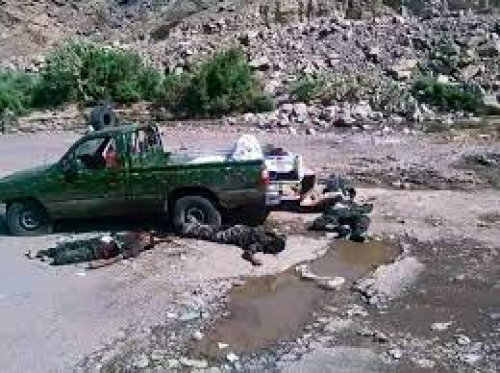 حسابات حوثية خاطئة: الجنوب في 2015 اعتمد الجنوب على مقاومة واليوم لديه جيش نظامي 