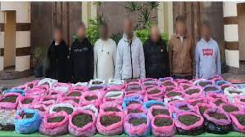 فضيحة القات: بـ 8 مليون جنيه.. أمن مصر يضبط عصابة تهريب قات 