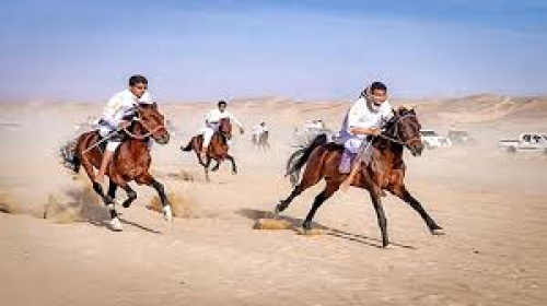 25 يناير موعد مهرجان التراث وسباق الخيل والهجن في عسلان وادي بلحارث