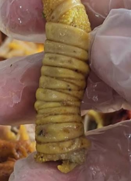 دائما هذا (المغضاف) متطرفا حتى عندما كان اشتراكيا ماركسيا