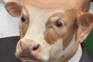 مخطط بقشان الفاشل: قولوا لسالم الناقة.. الأرض أرض القعيطي، ما هي بلاد التميمي ولا أهل همدان