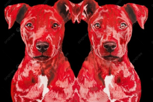 هـنيئآ للــكلاب الحُـمـر لا عـــدَن..؟؟