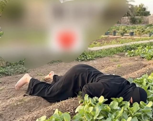  مسقط رأس العليمي.. صعاليك تعز يقتلون بالرصاص امرأة بريئة ويتركونها في العراء