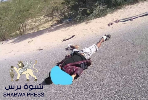مقتل شاب برصاص مسلحين غربي مدينة القطن في منطقة اللواء 135 التابعة للإحتلال اليمني 
