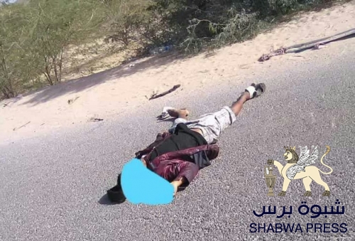 سياسي حضرمي : كل من ينتسب للنخبة الحضرمية هدفا للتصفية الجسدية في وادي حضرموت