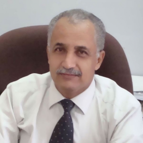 أكاديمي جنوبي : كل الجبهات التي اشرفت عليها #الامارات حققت انتصارات سريعة