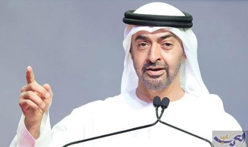 جرحى المقاومة الجنوبية في مصر يناشدون الشيخ محمد بن زايد 