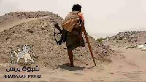 أكاديمي: شعب الجنوب ضحّى وانتصر لبناء دولته وليس لقضايا الآخرين