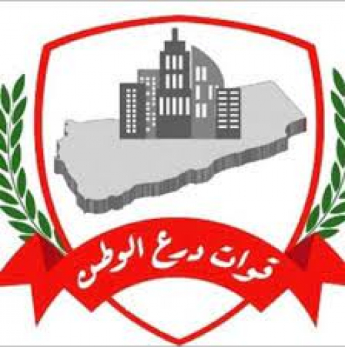 قوات درع الوطن أنشئت لمحاربة الحوثي لتنحرف لإسقاط عدن