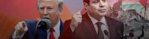 السيسي لن يزور واشنطن إذا كان ترحيل سكان غزة على جدول الأعمال 