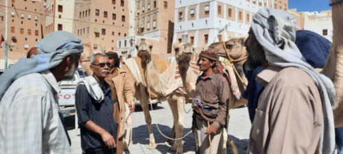 رحّالة شبوة على الأبل يصلون شبام ومنها إلى شرق حضرموت