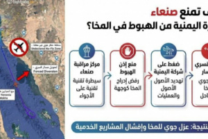  الرقم الصعب في اليمن: طائرة مدنية تهزم وتكشف هشاشة سلطة العليمي الشرعية