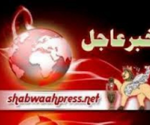 عاجل.. تشكيل حكومة الاحتلال اليمني وتسمية أعضائها