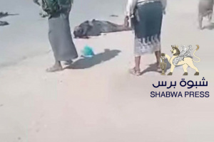 "شبوة برس" ينشر صورة أول شهيد في عتق برصاص قوات اللواء الأول دفاع شبوة 