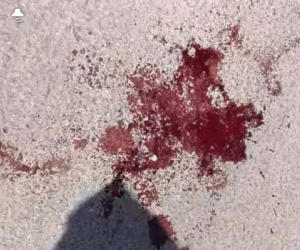 مسؤولية ضحايا الصدام اليوم في تظاهرة عتق.. من يملك السلاح يتحمل تبعات استخدامه