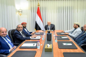 الجنوب أقوى من تهديد مجلس العليمي الرئاسي &hellip; وسيسقط خطاب الوصاية