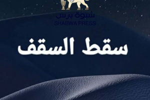 انتفاء الصفة والمشروعية في رعاية الحوار الجنوبي&ndash;الجنوبي