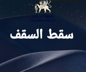 انتفاء الصفة والمشروعية في رعاية الحوار الجنوبي&ndash;الجنوبي