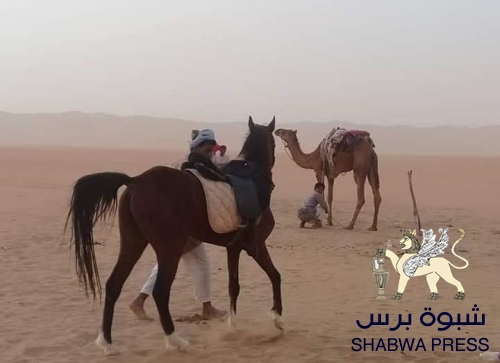 بعد توقف لنصف قرن : مديرية عسيلان تشهد مهرجان سباق الخيل والهجن 