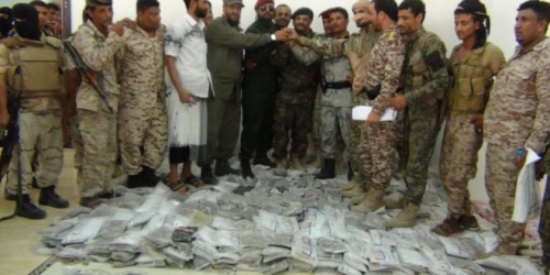 ضبط نصف طن من الحشيش في نقطة ‘‘دوفس‘‘ بأبين في طريقها إلى عدن