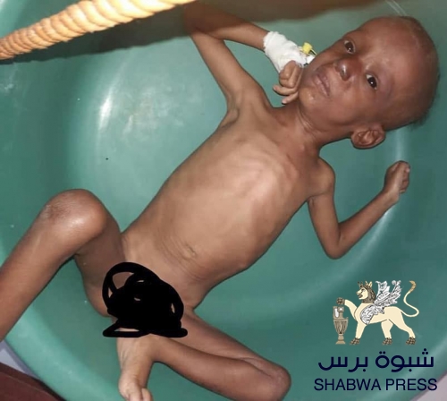 الهوية الجنوبية لا تمنح صاحبها صك الغفران المطلق، لتبيح له قتل إخوانه