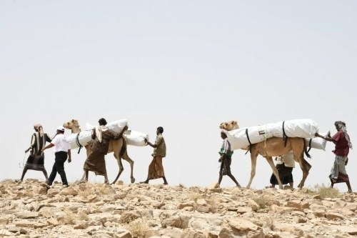 الهلال الإماراتي يتحدى التضاريس ويستخدم الجمال لإغاثة مناطق ريفية في حضرموت 