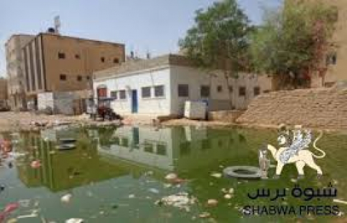 البعوض يؤرق أهالي شبوة ويثير مخاوف من انتشار الأوبئة