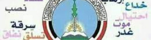 سياسي جنوبي: اتركوهم يعوون