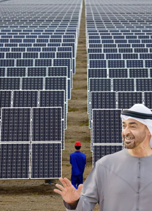 الفرق بين المحتل اليمني والحليف الصادق للجنوب دولة الإمارات العربية