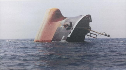 شطارة: الإرهاب في البحر الأحمر يدفع ثمنه الجميع ويهدد عدة دول