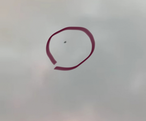  تحليق طائرة مسيرة فوق قصر معاشيق وإسقاطها بعد دوي انفجار عنيف في عدن (صورة)