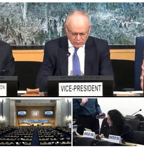 إحاطة دولية توثق الانتهاكات ضد الجنوب العربي وتطالب بمساءلة القوات الأجنبية