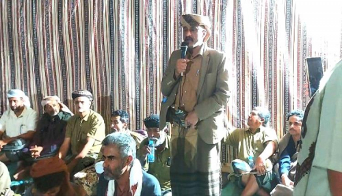 قبائل شبوة تحذر من المساس بممثل "الانتقالي الجنوبي"