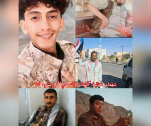 دماء شبوة ليست هامشاً.. الصمت شراكة والجريمة منظومة لا تُغتفر