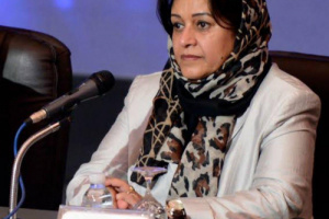 العليمي يعيّن دبلوماسية حوثية سفيرة في واشنطن.. واتهامات بتمكين الحوثيين والإخوان