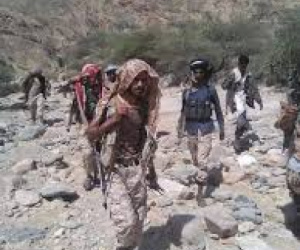 تفكيك القوات وتسليم الأرض.. سلطة الأمر الواقع تفتح الطريق لعودة القاعدة في أبين