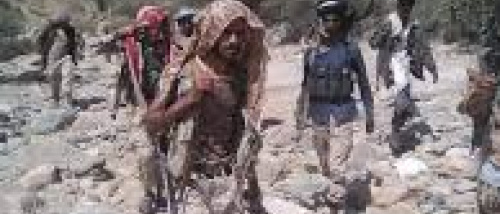 تفكيك القوات وتسليم الأرض.. سلطة الأمر الواقع تفتح الطريق لعودة القاعدة في أبين