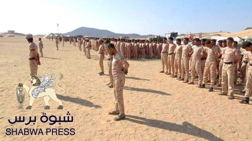 كاتب سياسي : النتائج العسكرية للحرب تحدد المكاسب السياسية ومن له نصر عسكري على الجنوب فليأت