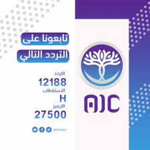 الحملات الدعائية والإعلامية ضد الجنوب والحاجة إلى قناة فضائية تخاطب العالم  