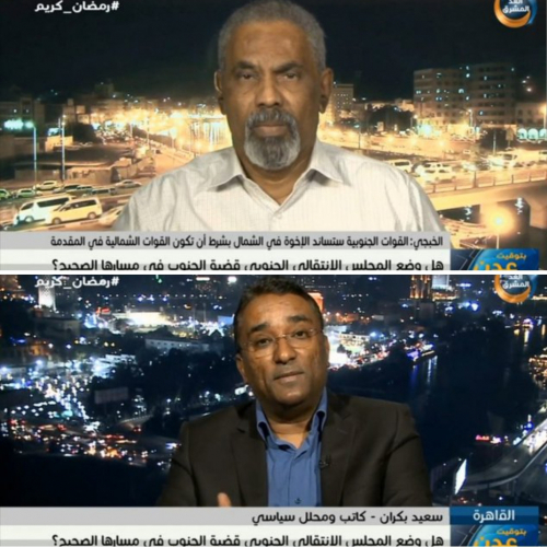 سياسيون يكشفون عن الجهات التي تقف خلف التحركات الإرهابية في الجنوب