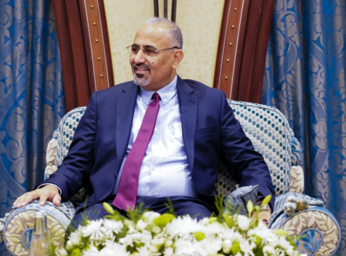 الرئيس الزبيدي يؤكد على محورية قضية الجنوب في الخارطة السياسية القادمة