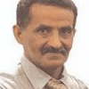 حافظ الشجيفي
