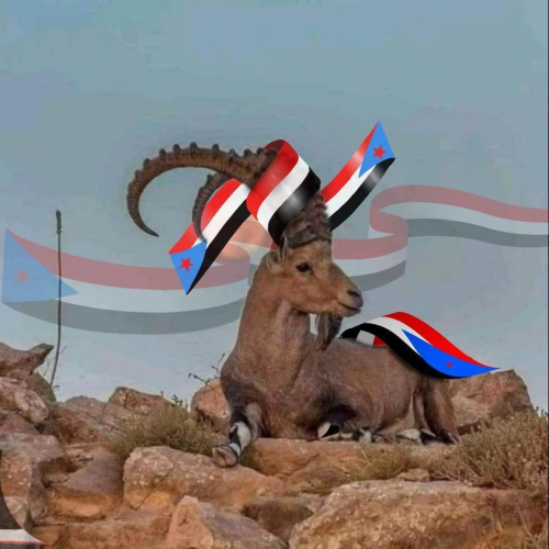 حضرموت مشهدها معقد ليس مثل المناطق الاخرى في الجنوب