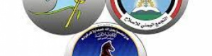 المؤتمر والاشتراكي والإخوان: أدوار متشابكة في الجنوب