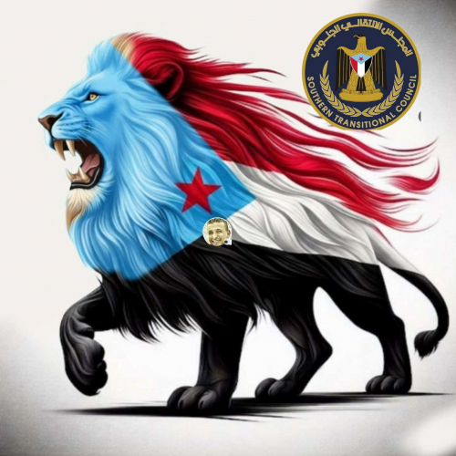 بين قضية جنوب أو لا جنوب.. القاضي يهاجم تجار السياسة وبسطات النضال الرخيص