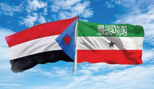 خذلان عربي لقضية صوماليلاند والجنوب يكشف فشل المؤسسات الإقليمية