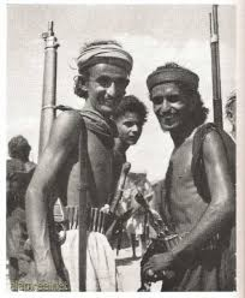 الجنوب وفيتنام.. دروس التاريخ بين نماذج التحرر وخيارات الواقع السياسي