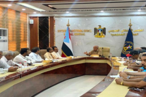 المستشارين يدعو شعب الجنوب للمشاركة الفاعلة في مليونية الذكرى الـ 9 للتفويض الشعبي