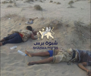 لا دولة بلا سيطرة&hellip; حضرموت والمهرة مفتاح الحسم لا الشعارات